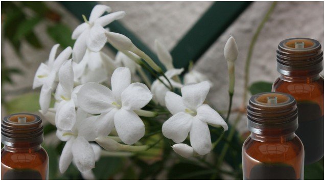 How-To: How I Use Jasmine Essential Oil for Better Sleep Step by Step